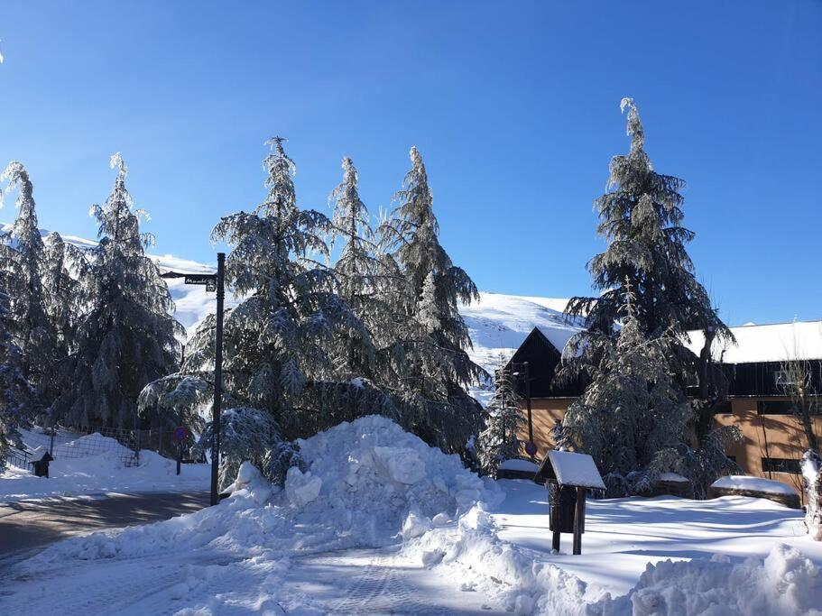 Sierra Nevada 2 Habitaciones Excelente Ubicacion المظهر الخارجي الصورة